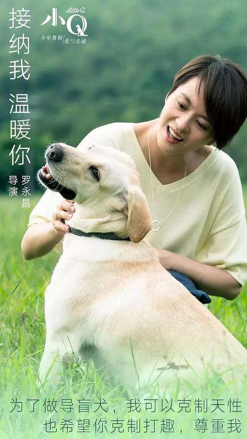 办加拿大签证存款证明